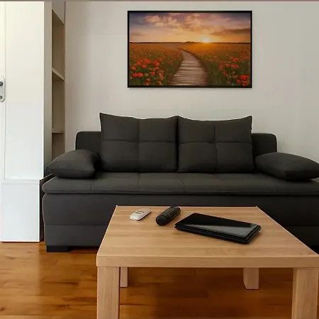 Daire Rose Casa Vrnjacka Banja